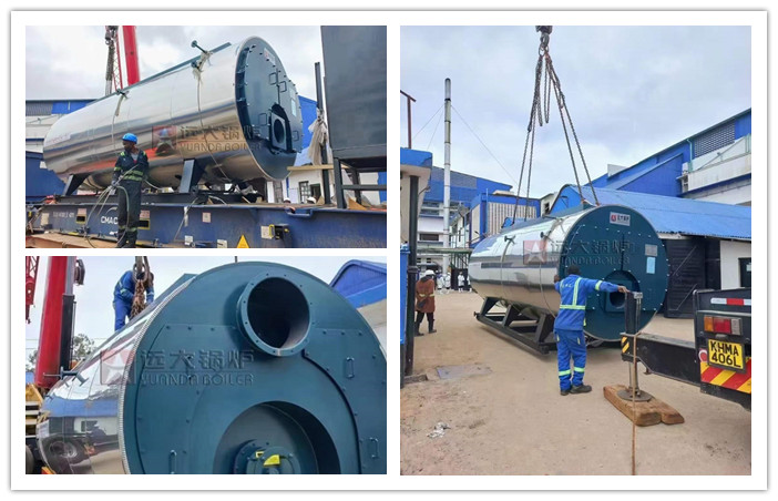 6 Ton hr Heavy Oil Fired HFO Steam Boiler for Beef Processing Plant.jpg